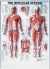Vacuum plastic forming (Thermoforming) - Image 8