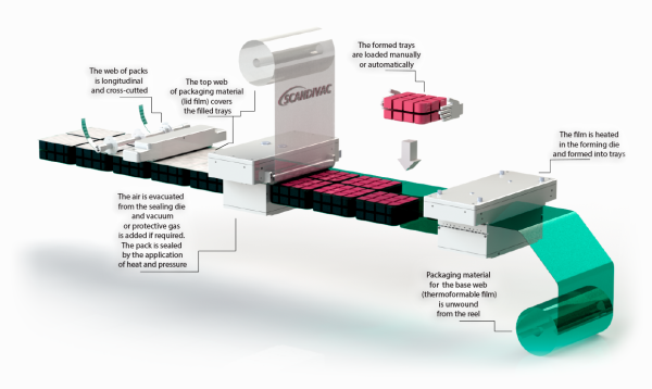 Thermoforming