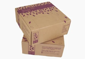 flexo-printed-die-cut-mailer-box